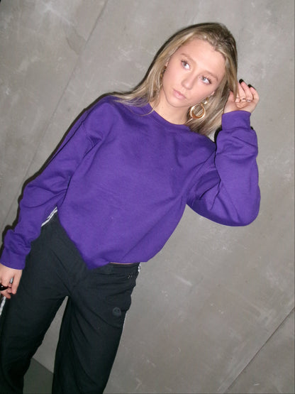 HÁSKÓLAPEYSA FJÓLUBLÁ