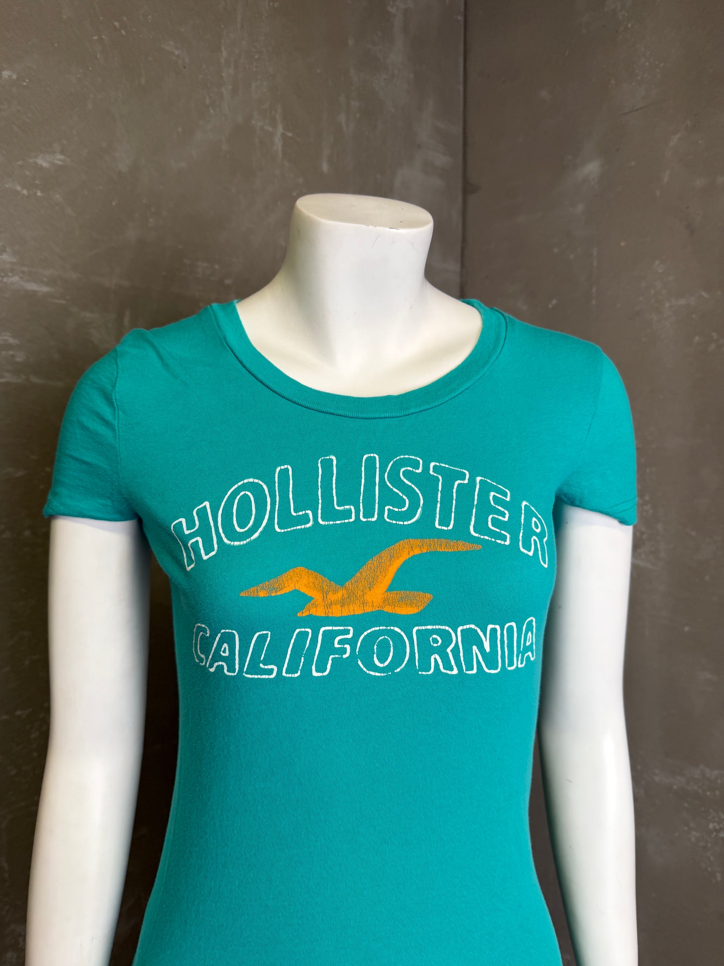 Bolur Hollister